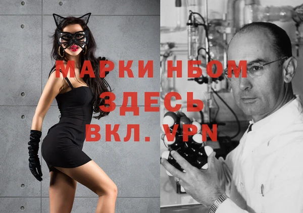 дживик Володарск