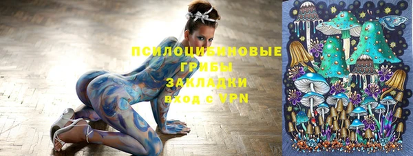 крисы Вязьма
