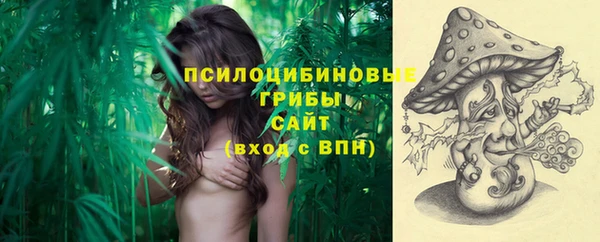 дживик Володарск