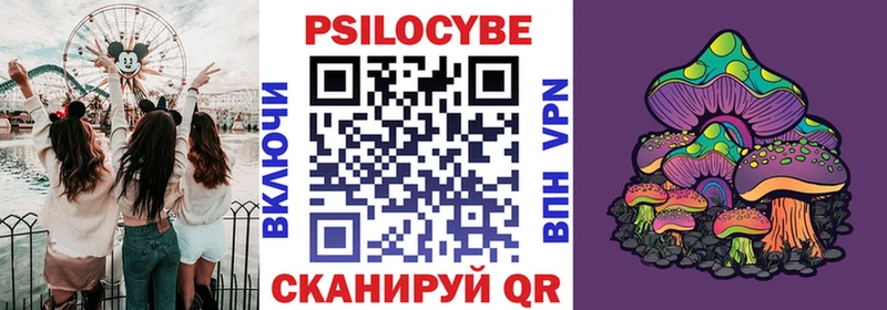наркота  Великий Новгород  mega как зайти  Галлюциногенные грибы мицелий 
